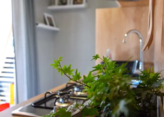 Mobile Laura * Тисно